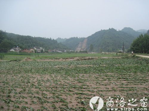 農(nóng)作物受災(zāi)920公頃，其中：絕收210公頃，水毀河堤72公里、耕地210公頃，灌渠24公里，自來水管線180公里。圖為趙