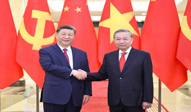 習近平同越共中央總書記蘇林舉行會談