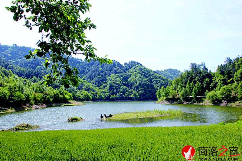 水清山綠天藍的丹江上游濕地