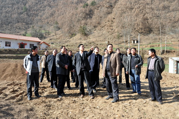 在云蓋寺鎮三條溝村板栗育苗基地指導工作.jpg
