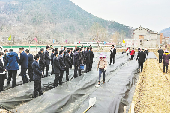 云蒙山村建設木耳產業園