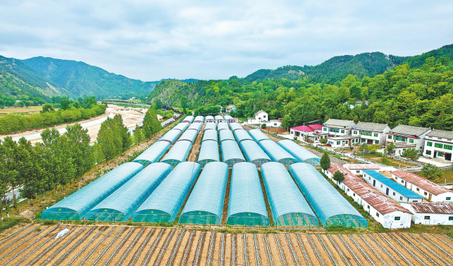 鄉村振興邁出鏗鏘步伐