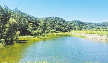 商南 建設秦嶺山水鄉村 打造生態宜居家園