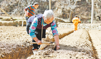 產業動力強 發展勁頭足