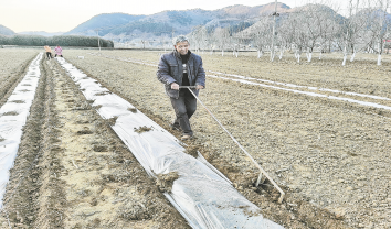 人勤春來早 田間農事忙