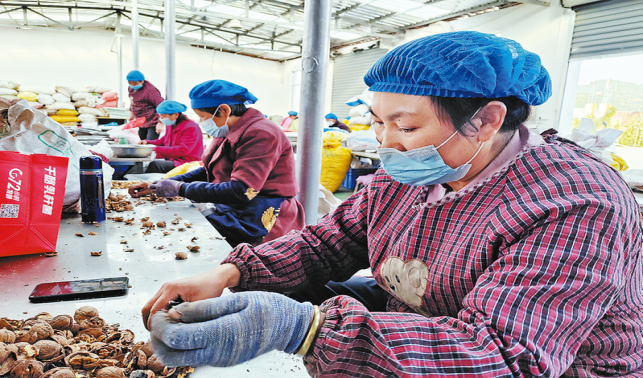 搬出大山日子甜 后續幫扶措施多