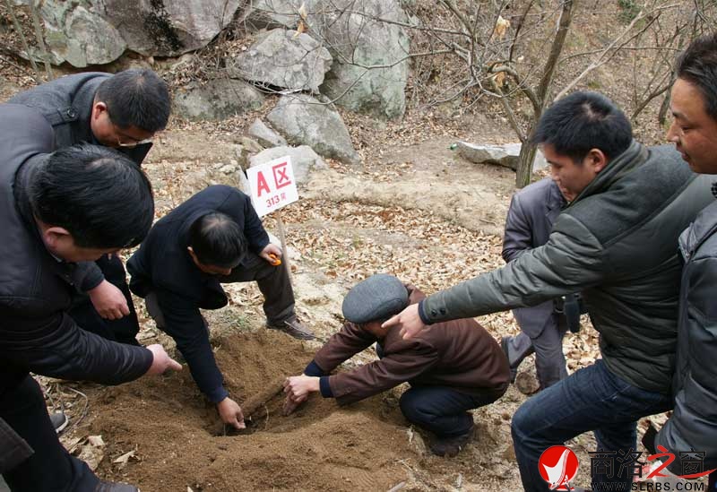 商南縣政府開展送政策、送技術、送溫暖活動