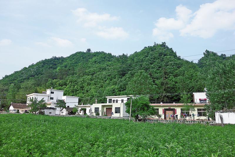 馬蹄店村 產業鋪就康莊大道