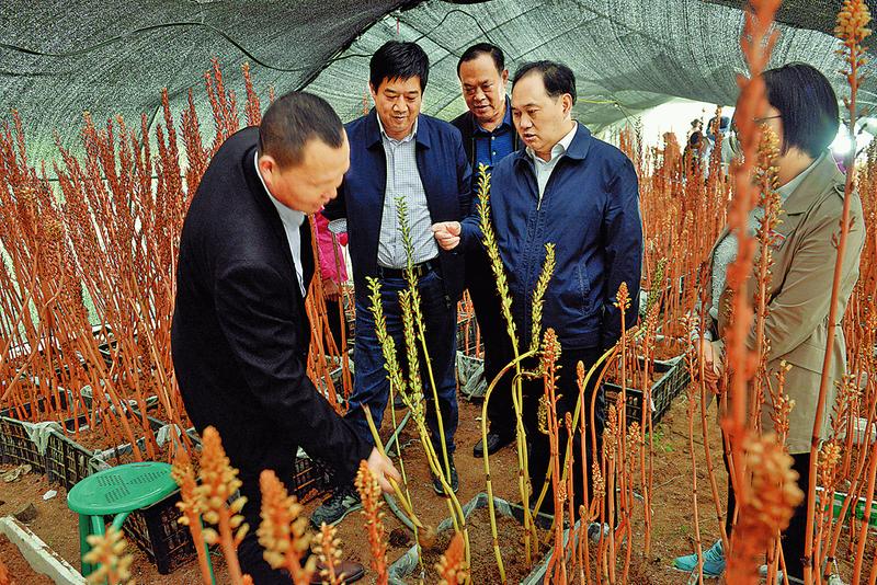 找到產業發展金鑰匙 打開深度貧困重枷鎖
