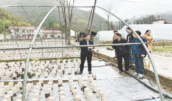 西口回族鎮積極推進春耕備耕