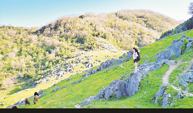 西口回族鎮 綠色原生態 大美北陽山
